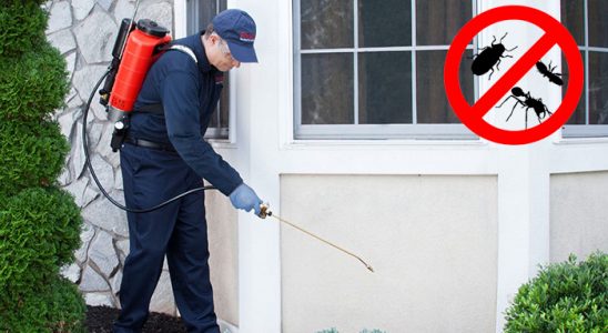 Yeniçamlık Bit İlaçlama böcek ilaçlama ve haşere kontrolü — ilaclama-tr.com